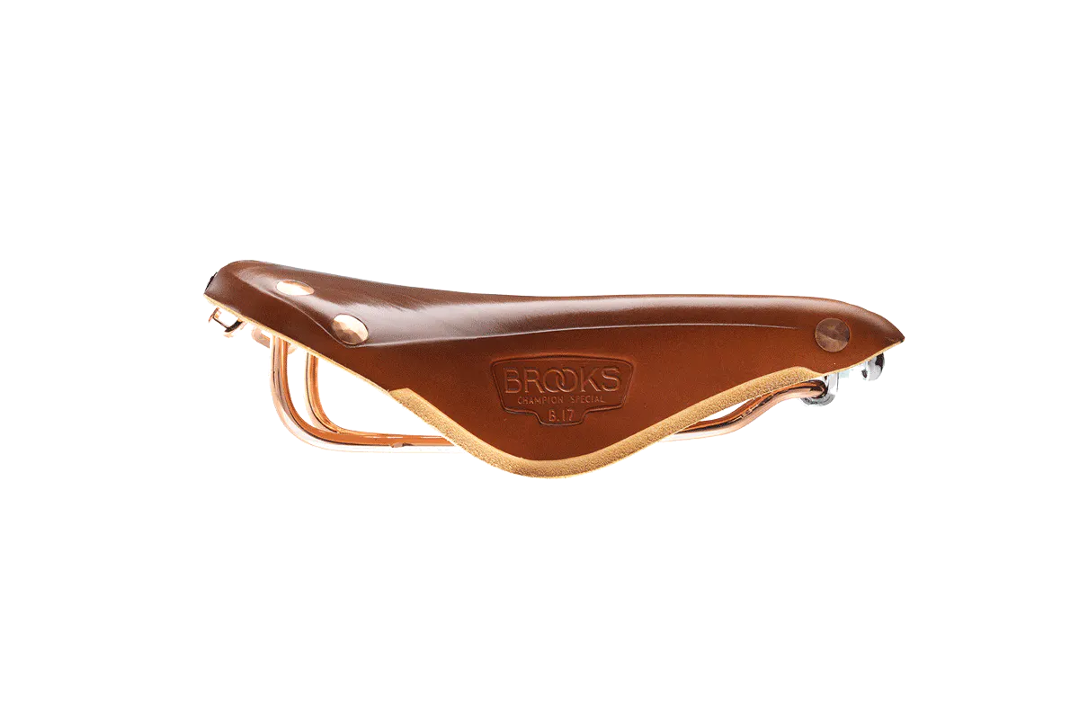 Pannier_Brooks_B17-Special-